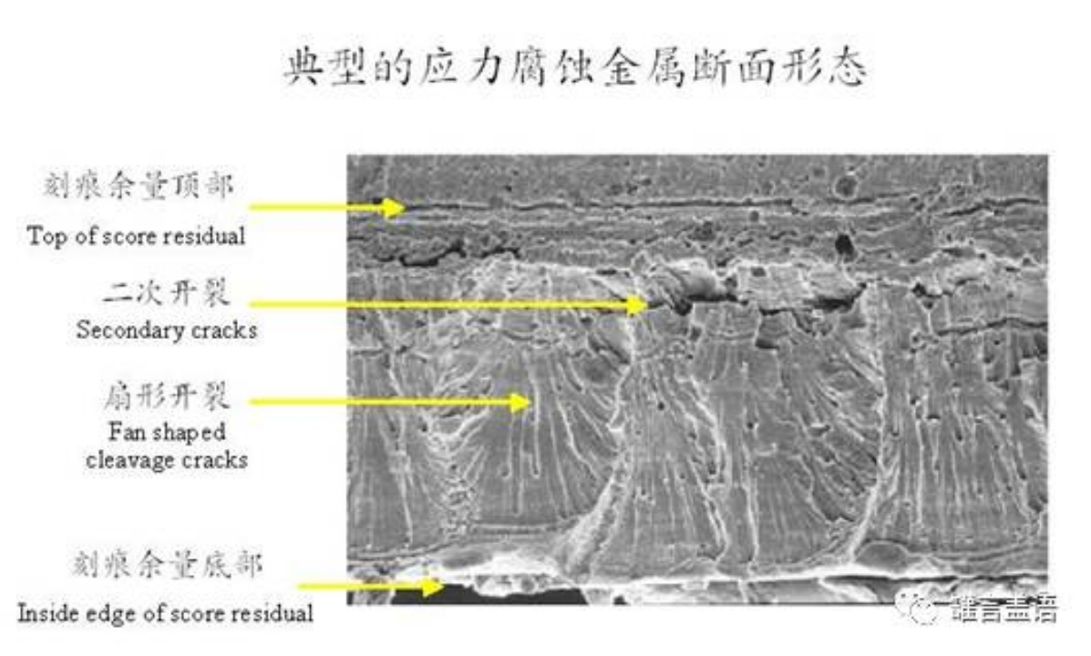 Three Types of Notch Fracture of Easy-open Cover and Their Cross-section Characteristics